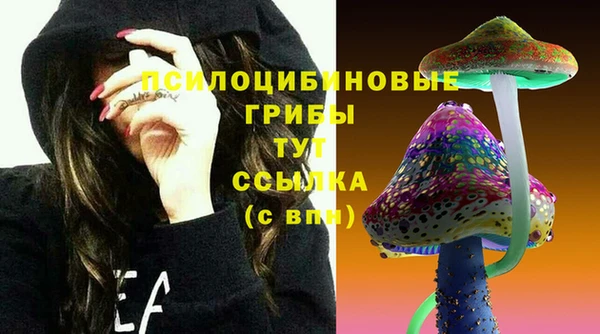 таблы Алексеевка
