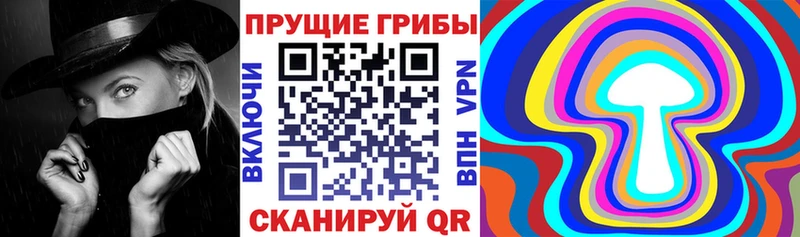 KRAKEN   Порхов  Псилоцибиновые грибы Magic Shrooms  купить наркотик 