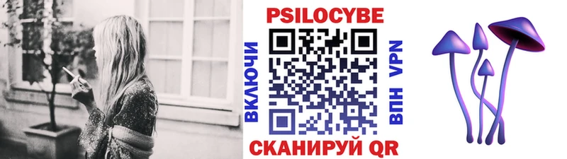 Псилоцибиновые грибы Psilocybine cubensis Порхов